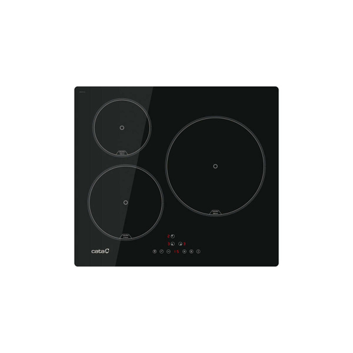 Induction Hot Plate Cata-0