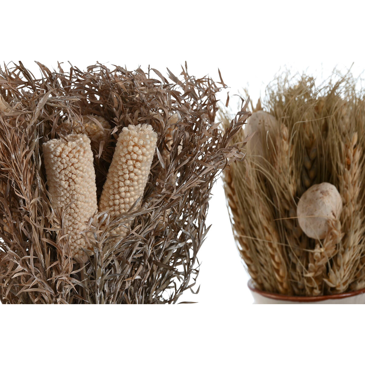 Decorative Plant Home ESPRIT Flower 13 x 13 x 25 cm (2 Units) (12 Units)-2